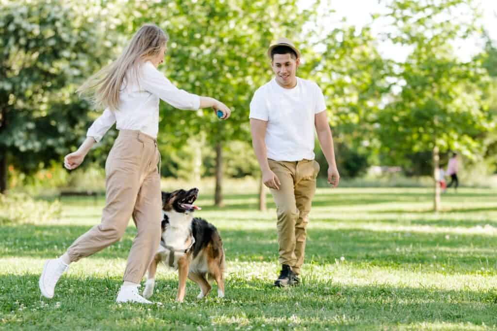 Pareja jugando con su perro en el parque. Hombre latino y mujer caucásica con un border collie.